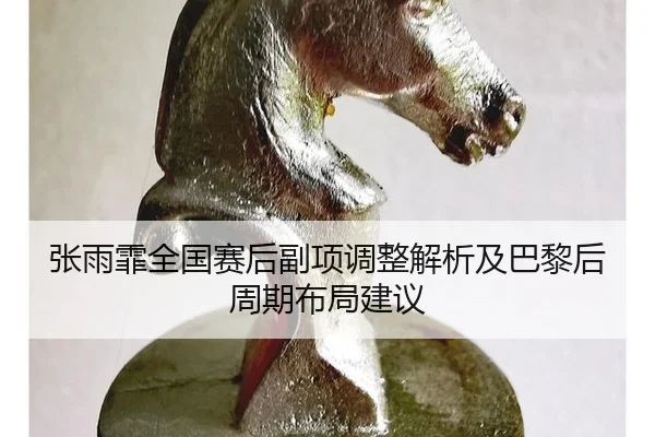 zhang-yu-fei-quan-guo-sai-hou-fu-xiang-tiao-zheng-jie-xi-ji-ba-li-hou-zhou-qi-bu-ju-jian-yi-2-654.jpg